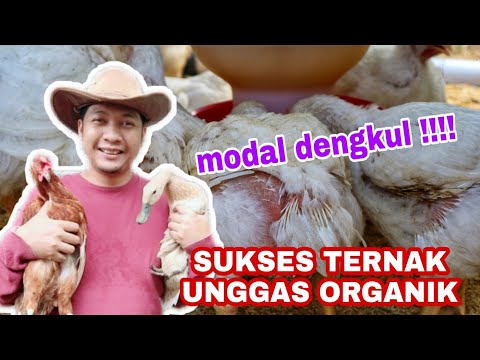 Video: Tanaman Kebun Agresif - Cara Membatasi Tanaman Invasif