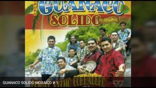 GUANACO SOLIDO ... MOSAICO # 1