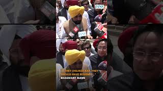 Delhi: Bhagwant Mann on party merger rules and constitutional process