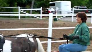 sassy 013.avi