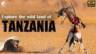 Travel vlog - DISCOVERING TANZANIA - The CRADLE OF LIFE Through MILLIONS of Years of EVOLUTION | Video 4k ULTRA HD