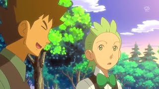 Best wishes: Brock and Cilan tell about ash travel day