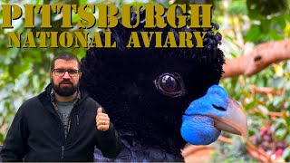 Visiting the Pittsburgh National Aviary
