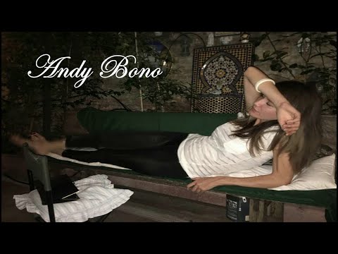 Andy Bono — ANDY BONO - Destinies of love - for steel guitar