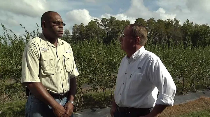 Integrated Pest Management with Blueberries