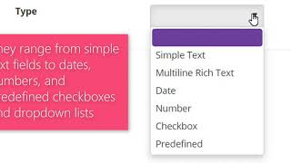 About Custom Fields and Custom Field Types Explained in Compleat