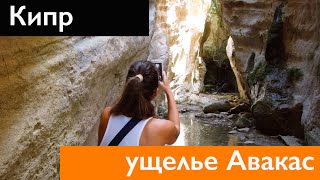 КИПР. Ущелье Авакас в парке Акамас. Пафос. Страшное и волшебное ущелье. 2020