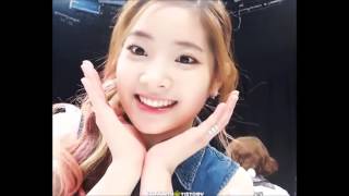 트와이스 다현 사진움짤 영상 01  (식스틴~20160720)