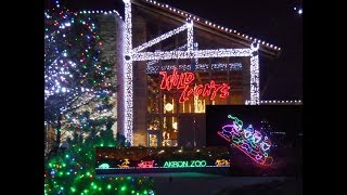 Wilds Lights exhibit at Akron Zoo