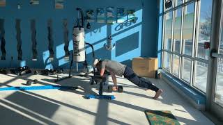 Elevated Plank Holds/Rows