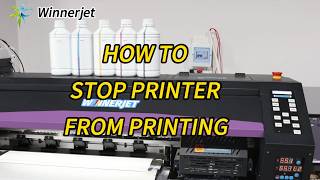 How to STOP or PAUSE Your DTF Printer? 4 Easy Methods (Winnerjet Tutorial) #dtf #dtfprinter #printer