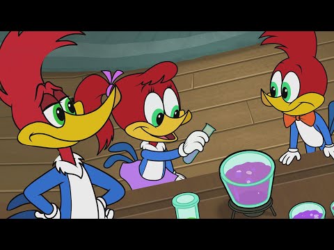 وودي نقار الخشب ي در س للتوأمين في المنزل وودي نقار الخشب حلقة كاملة