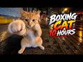 Youtube Thumbnail title