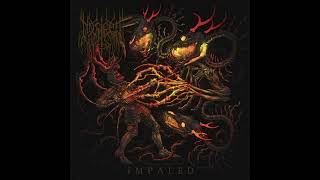 Nosłeep - Snowdrifts