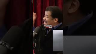 Joe Rogan on Intelligent Magpie Crow