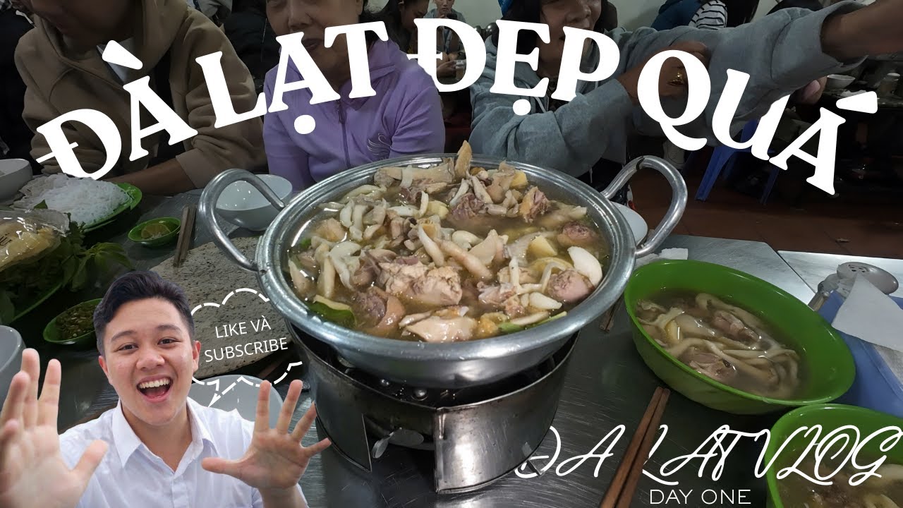 VLOG DALAT #1 | NGẮM CẢNH ĐƯỜNG LÊN ĐÀ LẠT VÀ ĂN LẨU GÀ LÁ É |Tạ Quang Lâm