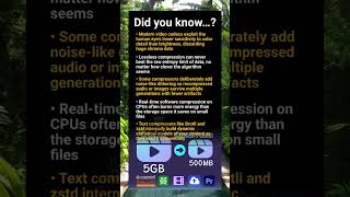 Software compression: shocking truths about codecs, latency and data perception
