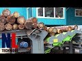 Amazing sawing lines with automatic sawmill machines  modern wood processing factory