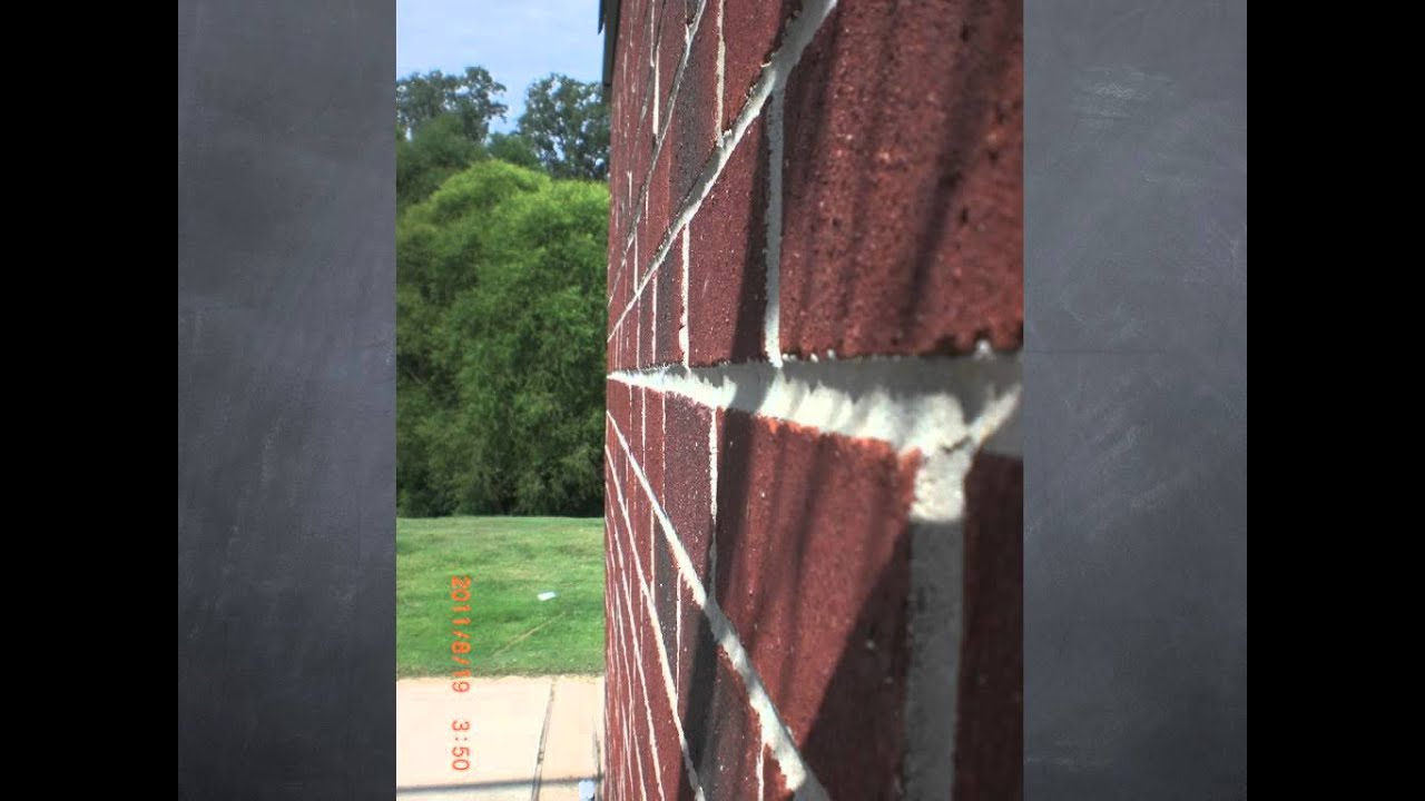 ECS Eagles Digital Photography Tour