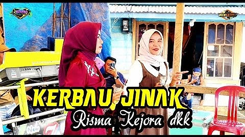 Kerbau Jalang| cift.  Radinal | voc. Rusma Kejora | Official managemen arzuna music