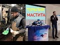 ЛЕЧЕНИЕ МАСТИТА у КОРОВ/ ВЫСТУПЛЕНИЕ В ОДЕССЕ