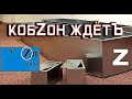 Z - это цинк. Сафари на вооружённую отару разрешено Законом Украины.