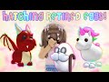 Hatching Retired Eggs! | Roblox Adopt Me | Riivv3r