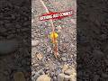 How to Connect Ground Wire with Grounding Rod ⚡ Easy Earthing Connection #Shorts