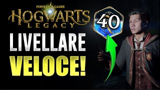 Level up fast and easy! | Howgarts Legacy XP Farm! screenshot 4