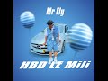 Mr fly  hbd le mili audio officiel