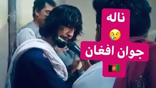 ناله جوان افغان 😢💔 - با توله وطنی - 🇦🇫