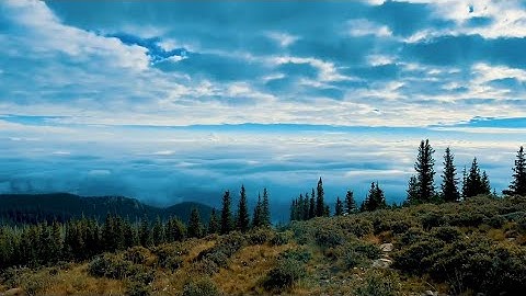 جزء عم - سورة النبأ / بصوت القارئ احمد اسامة | Surah An-Naba by Ahmed Osama
