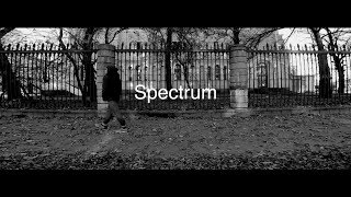 Спектр Спектр