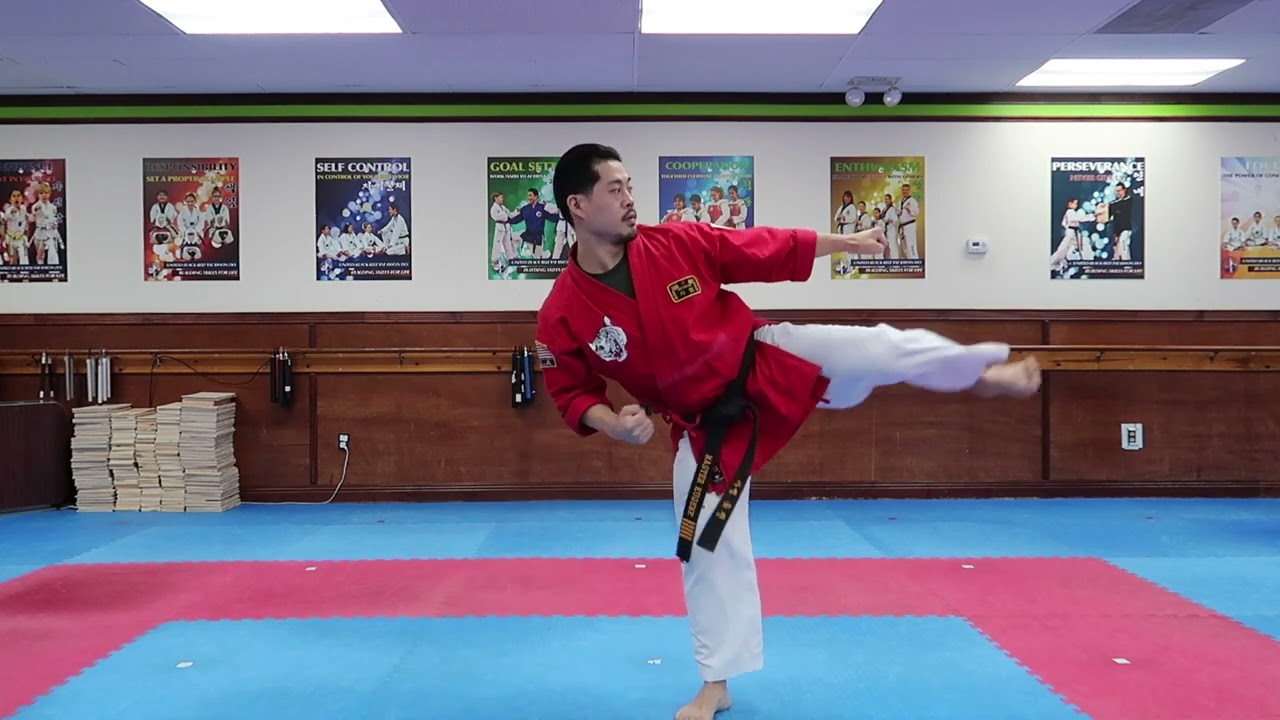 Purple Blue Taegeuk 5