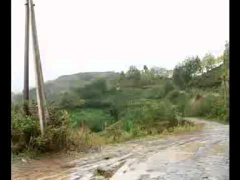 ზედა მახინჯაურის მოსახლეობა დახმარებას ითხოვს