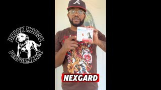 Brickhouse Performance: NexGard & Ivermectin for the American Pitbull Terrier