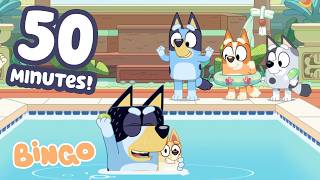enjoying swim 50 mins summery full episodes bingo official