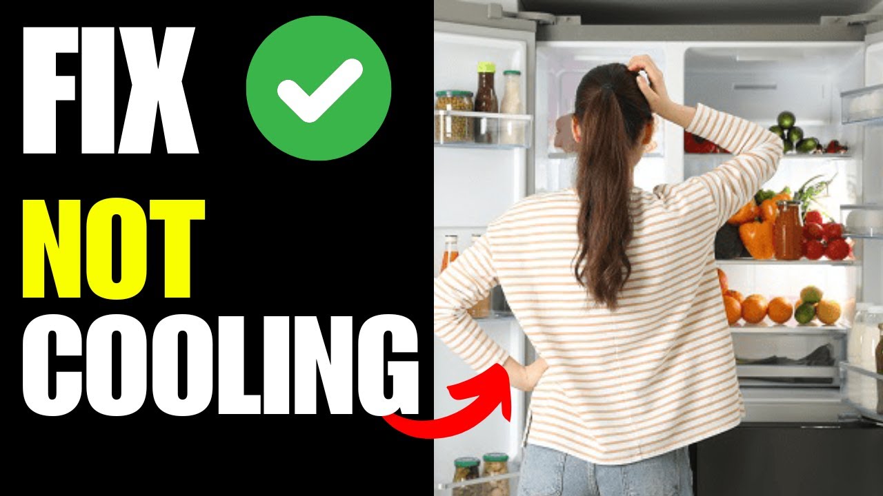 insignia refrigerator not cooling How To Fix YouTube