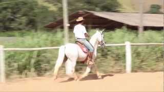 07 Eclipse De Santa Marta