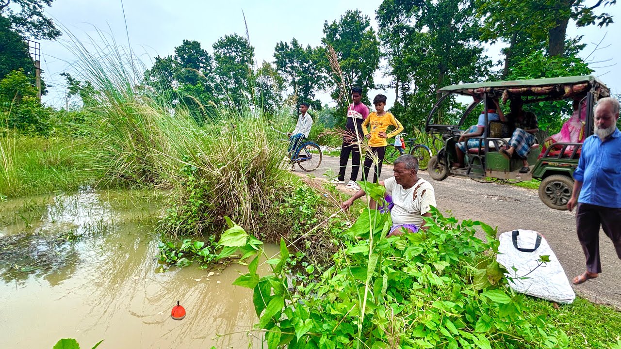 Fishing video🐬🐬| Grandfather amazing fishing skill. road side canal fishing ￼by hook.