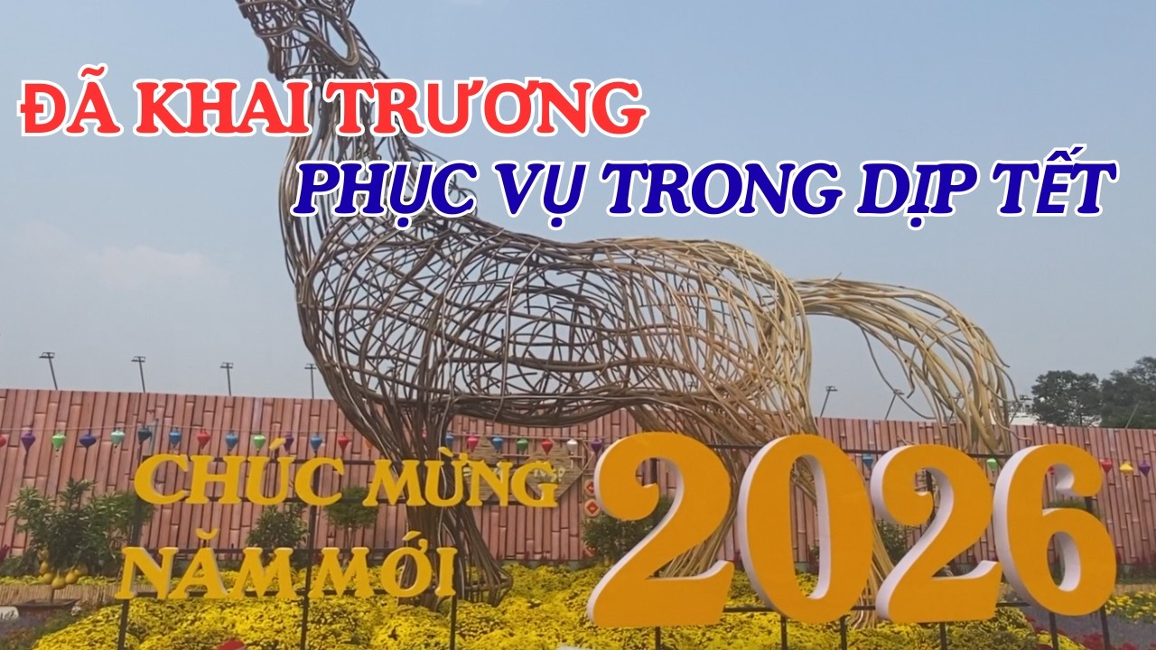 XUẤT HIỆN THÊM MỘT ĐIỂM CHECKING CHỤP HÌNH KHÁ HẤP DẪN. NĂM BÍNH NGỌ QUÁ VUI