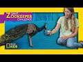 Edward the Peacock is on the Loose! | Sam's Zookeeper Challenge