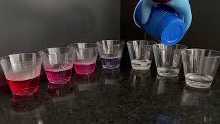Chem Unit 10- Rainbow pH Lab