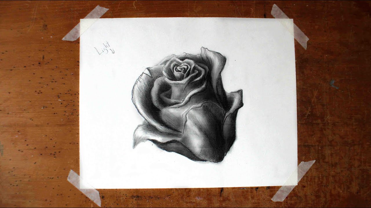 How to Draw a Realistic Rose A Basic Flower Tutorial for Beginners 