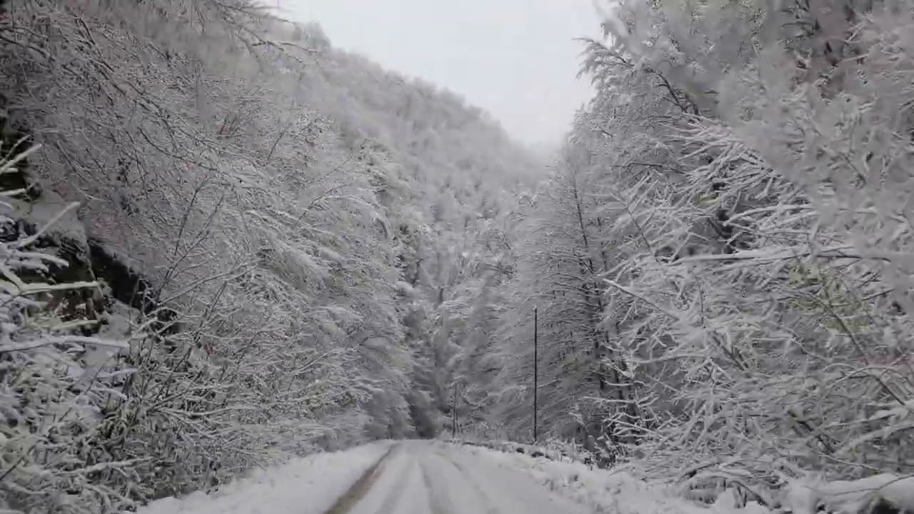 Drum cu zăpada între Luncani și Valea lui Liman