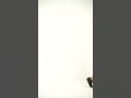Video: NEBBIA Women's long sleeve crop top INTENSE Perform gold Video: NEBBIA Women's long sleeve crop top INTENSE Perform gold