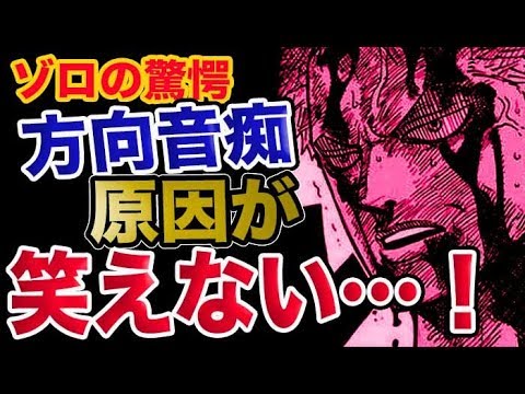 ワンピース 予想考察 ゾロの驚愕方向音痴 その原因が笑えない恐ろしい事実だった Youtube