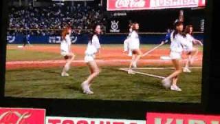 プロ野球・東京ヤクルトスワローズ公認パフォーマンスアーティストのDDS...
