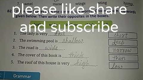 Elephants , chapter 13 with solutions, Class 3, Real English Book