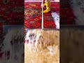 Back to work 🔥#Urumqi #Carpet Cleaning #Carpet Cleaning #Carpet Cleaning #Decompre#294c0
